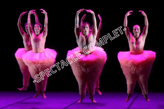 Image de couverture du spectacle Tutu